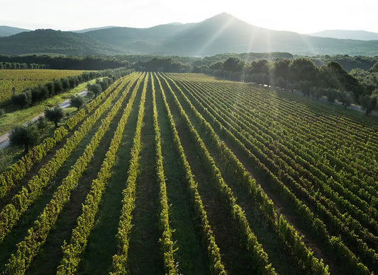 1997 Ornellaia - Exclusive Offer, Perfect Provenance