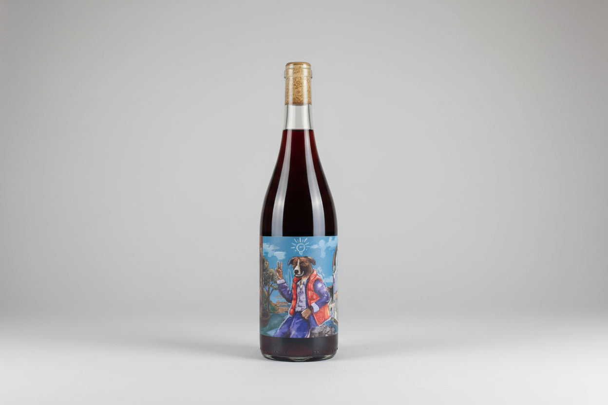 HUGO MENDES PITAU CLARETE 2024 750ml