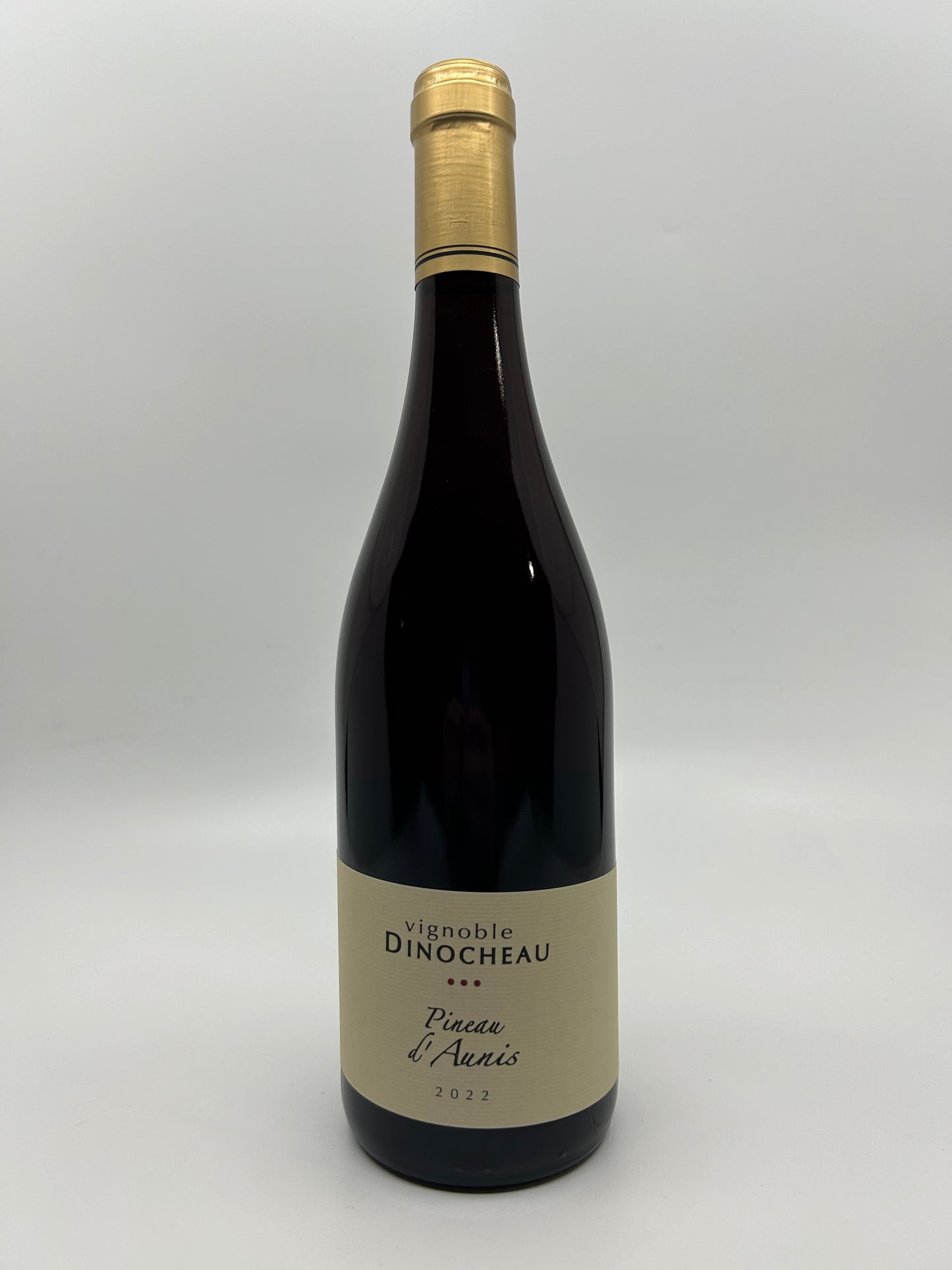 DINOCHEAU PINEAU D'AUNIS VDF, 2022