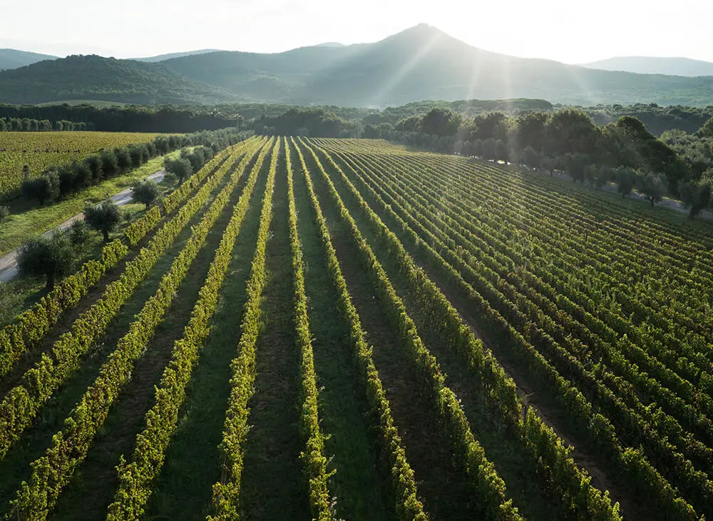 1997 Ornellaia - Exclusive Offer, Perfect Provenance