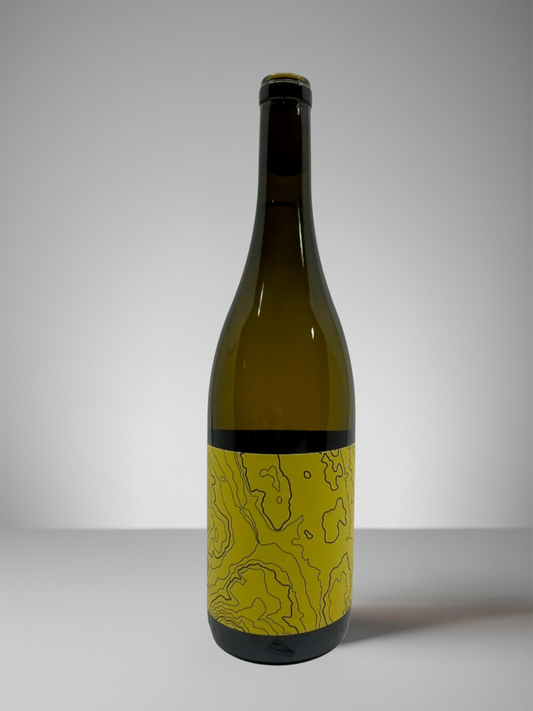 LIOCO CHARDONNAY, SONOMA COUNTY