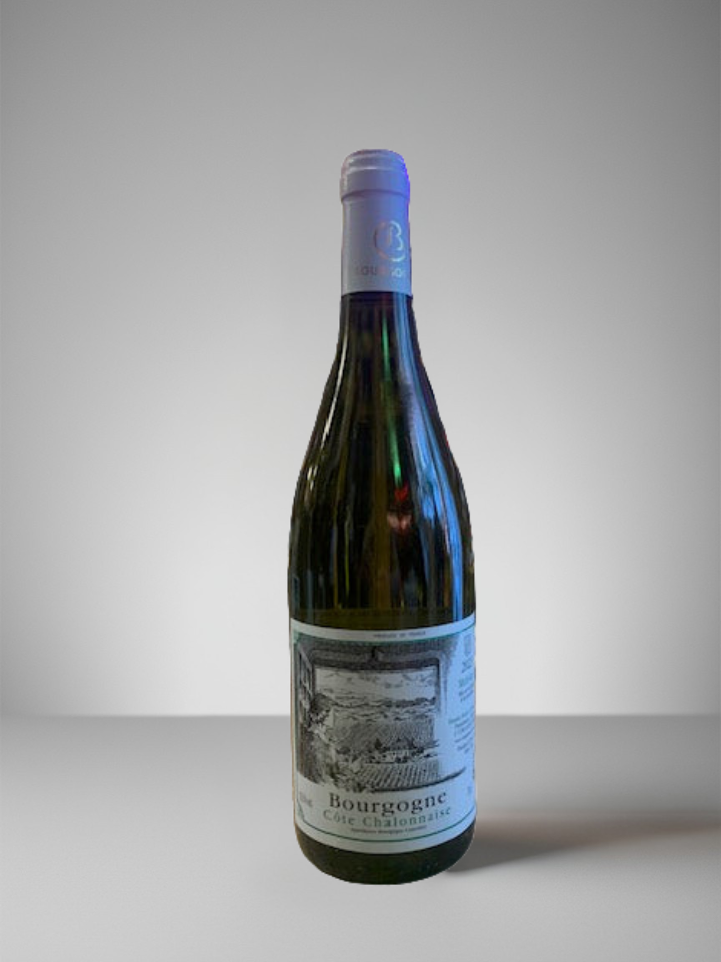 DOMAINE MICHEL GOUBARD BOURGOGNE CÔTE CHALONAISE MONT-AVRIL BLANC 2023 750ml - Wine Nexus