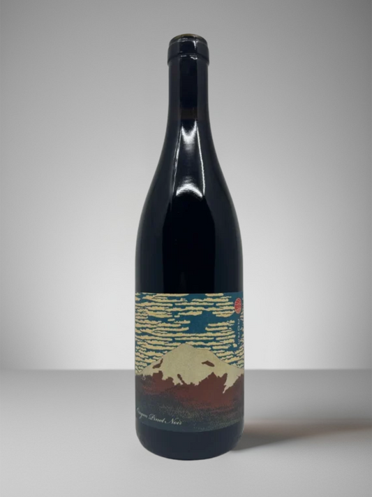 SALEM WINE COMPANY EOLA-AMITY HILLS PINOT NOIR 2025 750ml