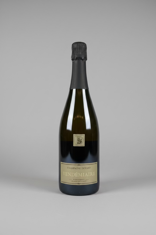 DOYARD VENDÉMIAIRE BLANC DE BLANCS 1ER CRU NV 750ml